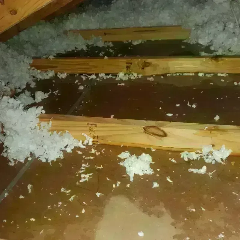 Attic Water Damage in Russell, PA