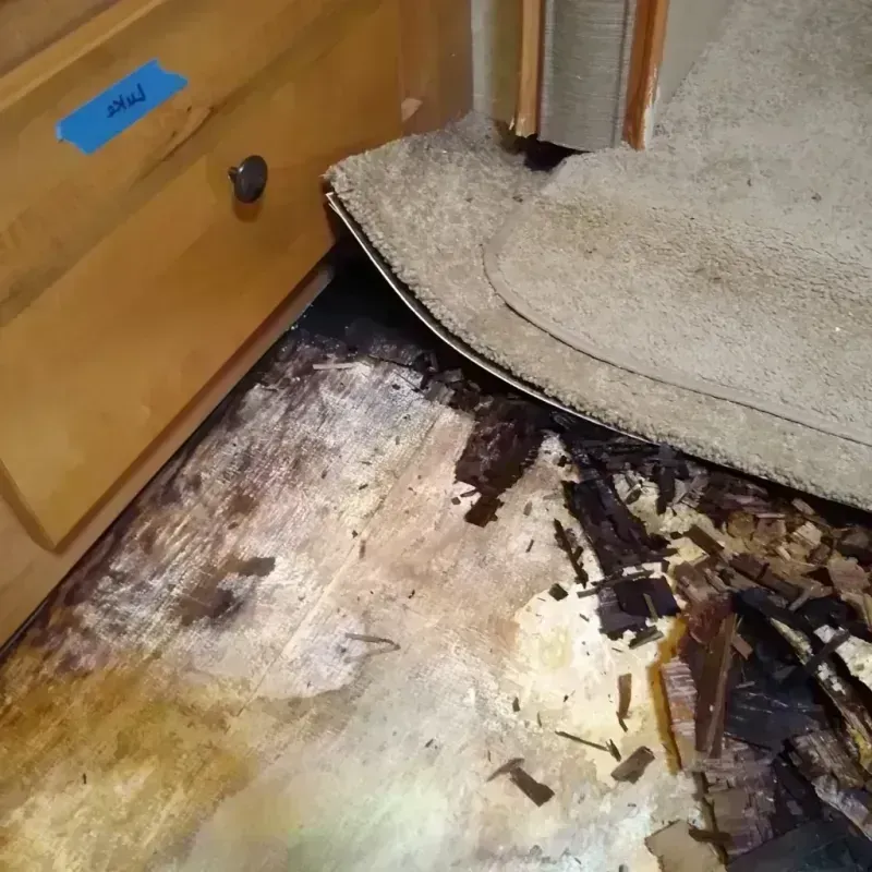 Wood Floor Water Damage in Russell, PA